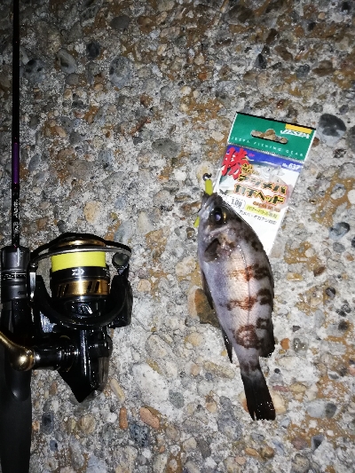 極寒爆風メバリング