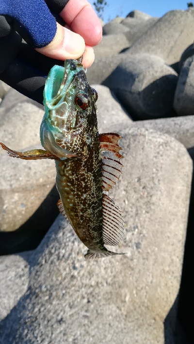 デイライトゲーム