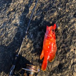 ウィンターロック