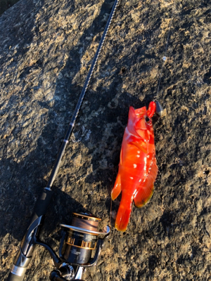 ウィンターロック