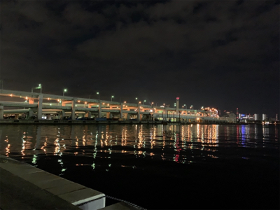 今年初の居着きシーバス♫