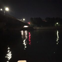 シーバスハプニング