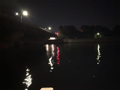 シーバスハプニング