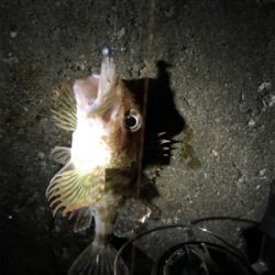 楽しいメバリング