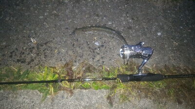 冬のライトゲーム