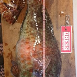 人生初イガミ釣りに挑戦