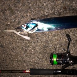 明石ワインド18