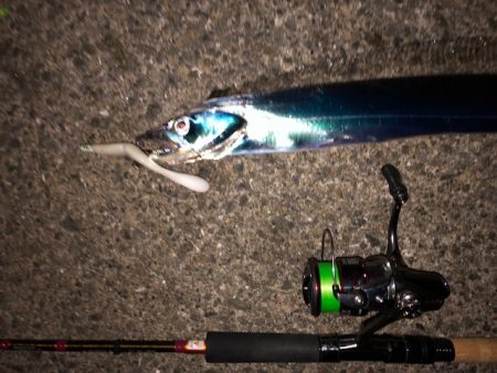 明石ワインド18