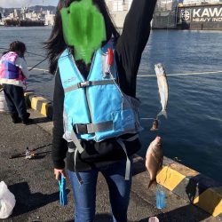 エサ無しで釣れるマイワシ