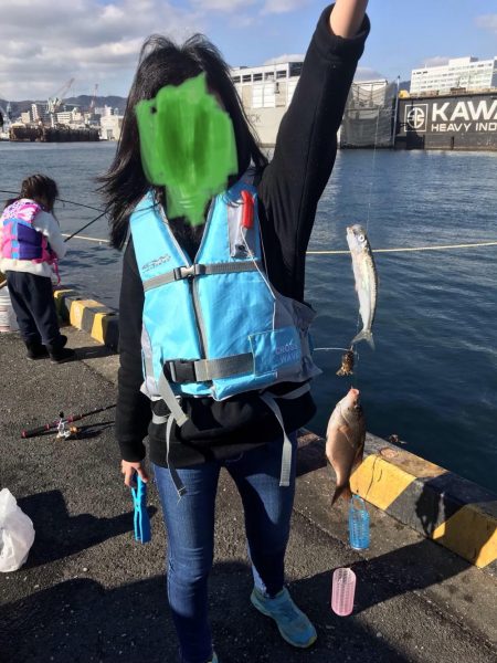 エサ無しで釣れるマイワシ