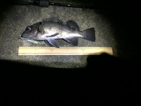 漢は黙ってプラグ縛り