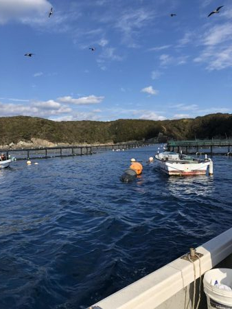 串本大島えり丸さんにて