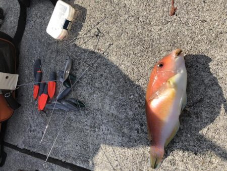 投げ釣り聖地釣行