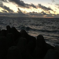 激風 ちょい投げ