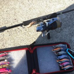 デイヒイカ釣行