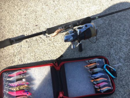 デイヒイカ釣行