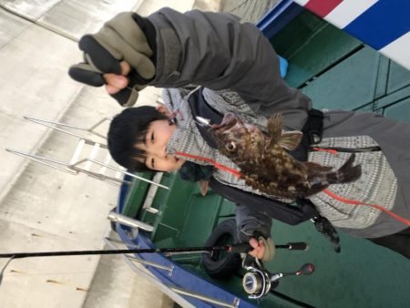 ロックフィッシュか