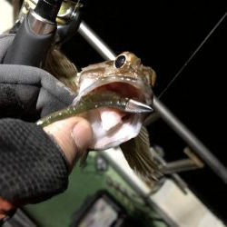 船上ライトワインドゲーム