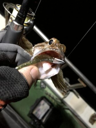 船上ライトワインドゲーム