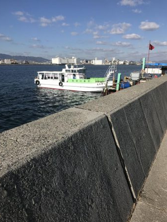 イルカの群れがタチウオを連れてきたのか！