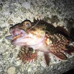 アタリが少ないと寒さ倍増