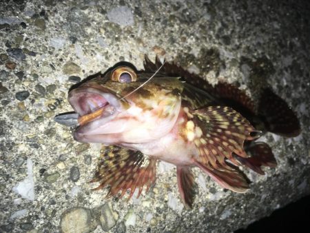 アタリが少ないと寒さ倍増