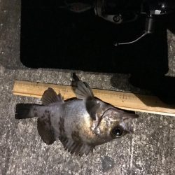 メバプラ ランガン