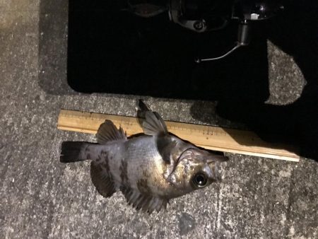 メバプラ ランガン