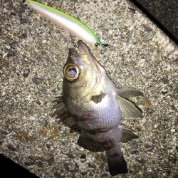 ライトゲーム同窓会