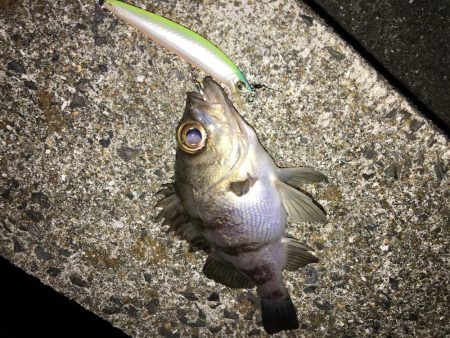 ライトゲーム同窓会