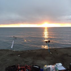 初めてのヤエン