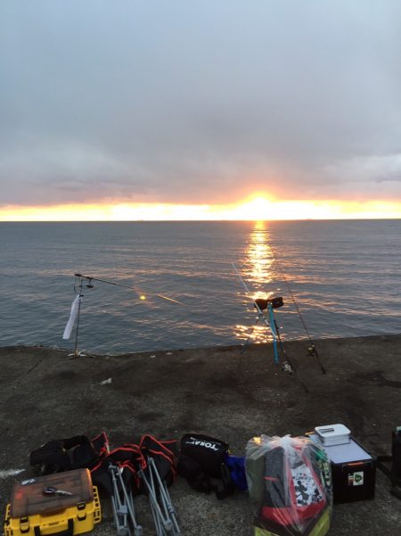 初めてのヤエン