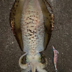 2019初のキロアップ