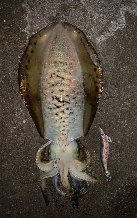 2019初のキロアップ