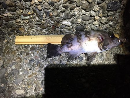 ひたすらプラグ縛り