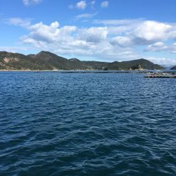 ウチノ海イカダでカレイ