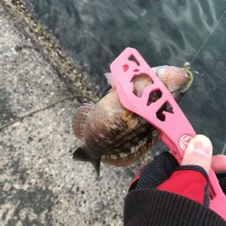 デイライトルアー