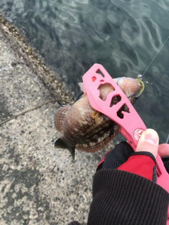 デイライトルアー