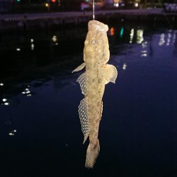 今年の竿初めエビ撒き