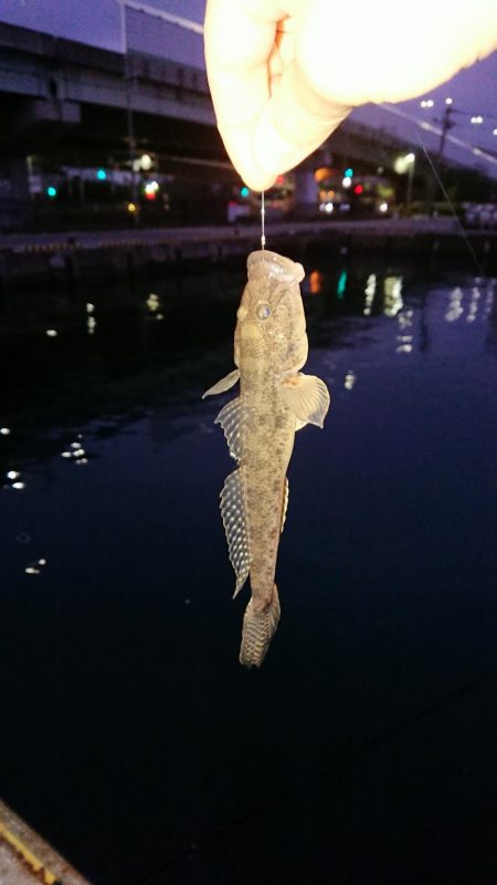 今年の竿初めエビ撒き