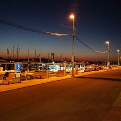 ガシラにアジ、泉州丸