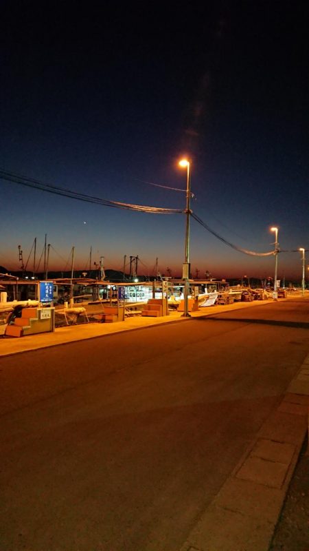 ガシラにアジ、泉州丸