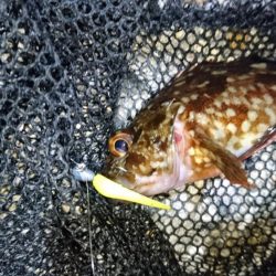 風をかわしてメバリング