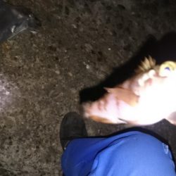 仕事終わりにメバリング!