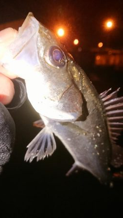 ライトロックゲーム