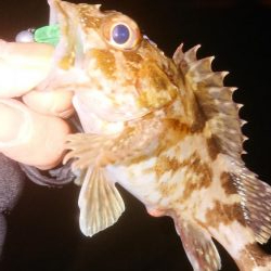 ロックゲーム！