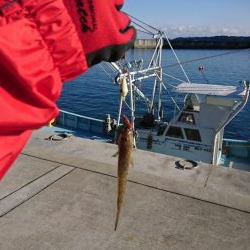 冬のブラクリ調査