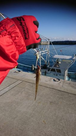 冬のブラクリ調査