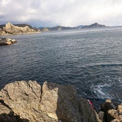 方座浦でグレ釣り