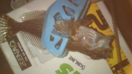 爆風メバリング